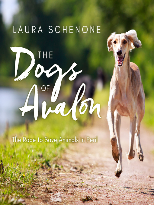 Title details for The Dogs of Avalon by Laura Schenone - Available